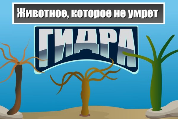 Даркнет официальный сайт вход