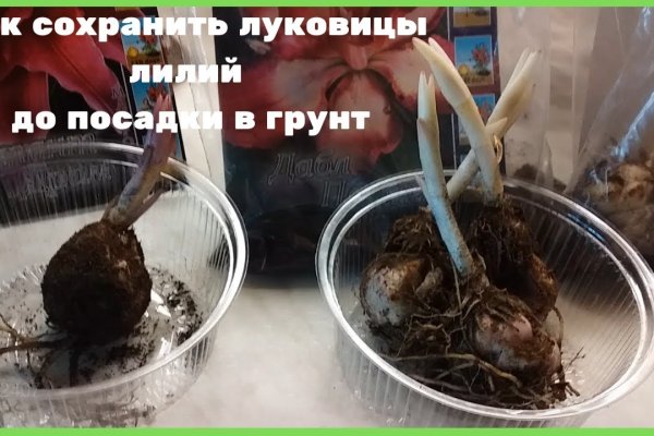Кракен ссылка официальная