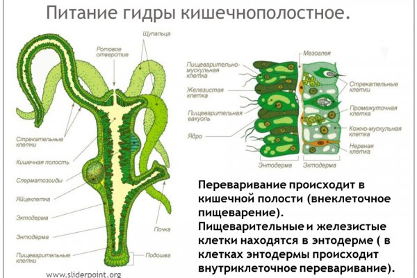 Восстановить аккаунт на кракене